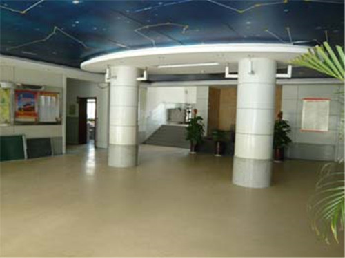 山東省地質博物館